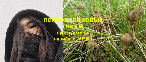 стаф Медвежьегорск