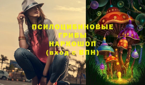 стаф Медвежьегорск