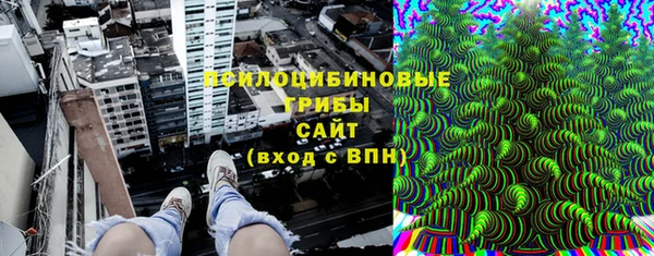 стаф Медвежьегорск