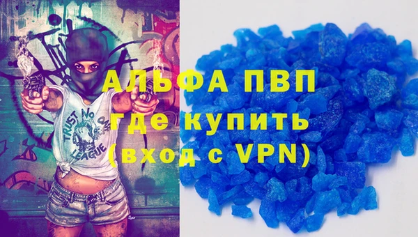 стаф Медвежьегорск